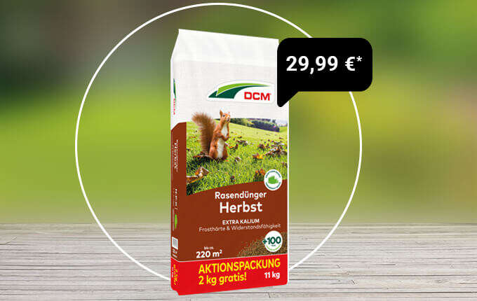 DCM Rasendünger Herbst